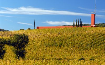 Rocca VIGNE 2