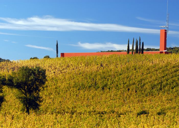 Rocca Vigneti