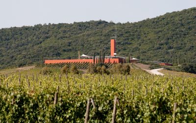 Rocca VIGNE 3