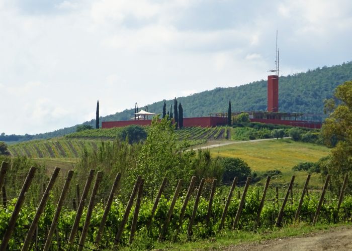 Rocca Baffonero Vineyard