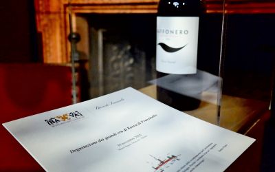 SAMSUNG I Grandi Cru di Rocca di Frassinello al Museo Bagatti Valsecchi