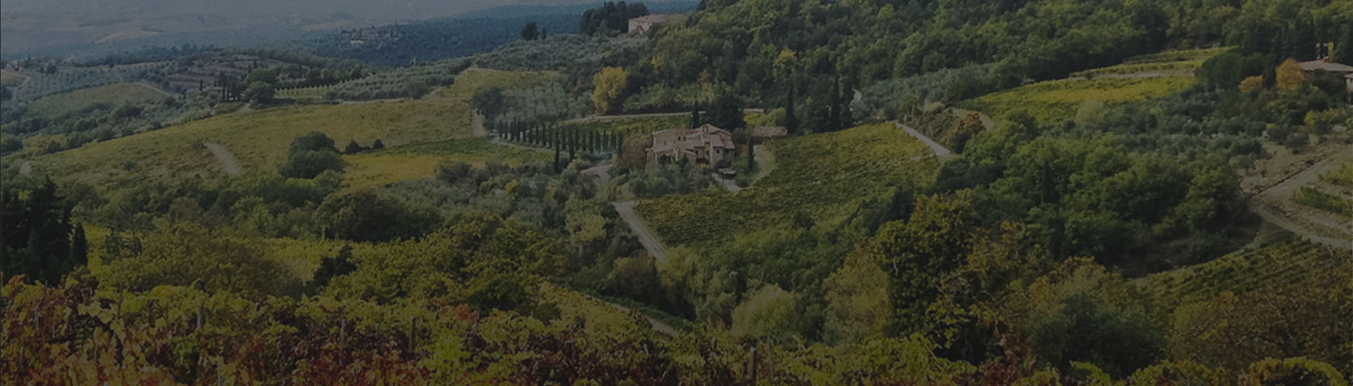 CASTELLARE DI CASTELLINANEL CUORE DEL CHIANTI CLASSICO