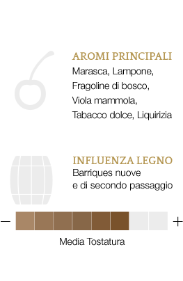 Aromi principali e influenza legno