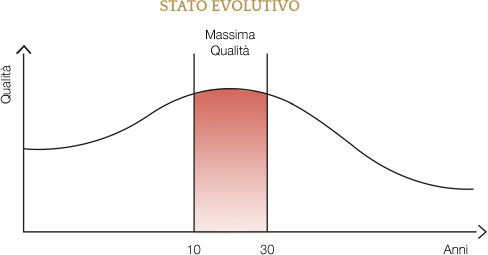 Stato evolutivo