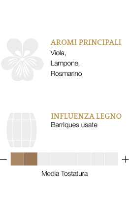 Aromi principali e influenza legno