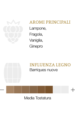 Aromi principali e influenza legno