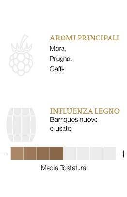 Aromi principali e influenza legno