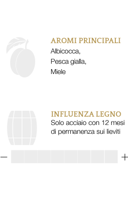 Aromi principali e influenza legno