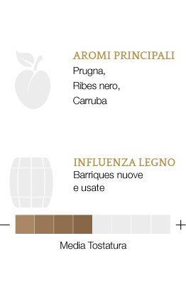 Aromi principali e influenza legno