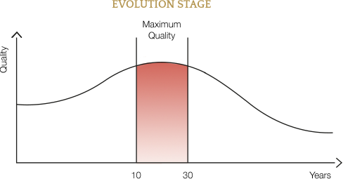 Stato evolutivo