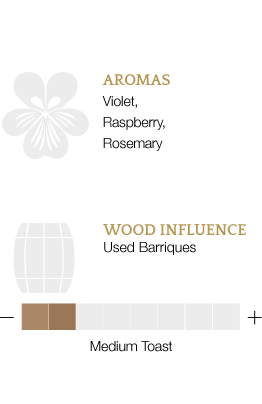 Aromi principali e influenza legno