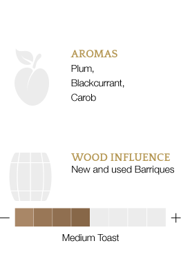 Aromi principali e influenza legno