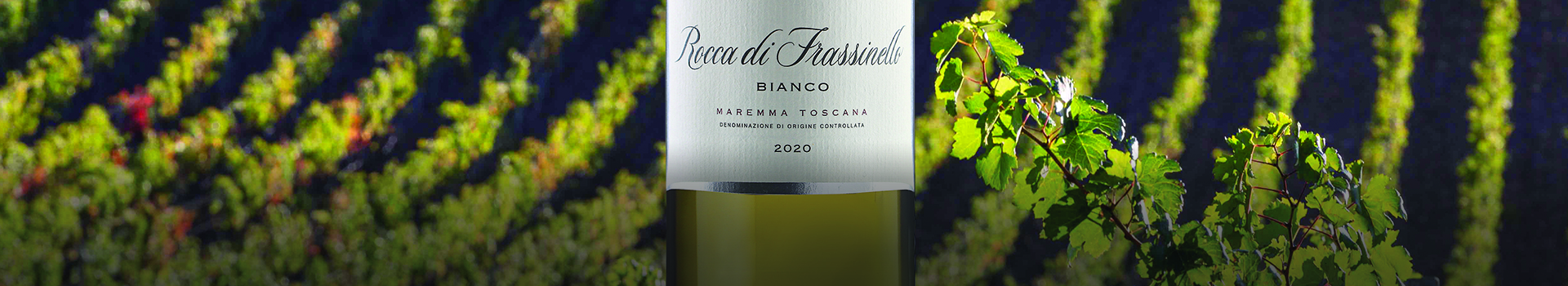 “VIVA VERMENTINO”MONICA LARNER IMPRESSED BY ROCCA DI FRASSINELLO BIANCO