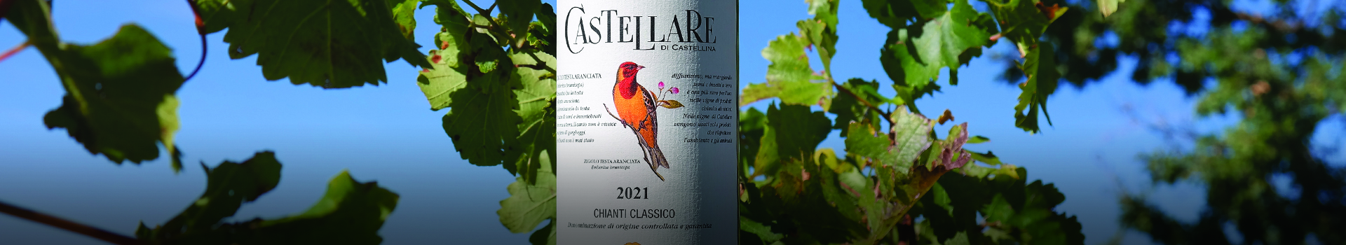 THE RED-HEADED BUNTINGIS THE LITTLE BIRD OF THE NEW VINTAGE OF CASTELLARE CHIANTI CLASSICO