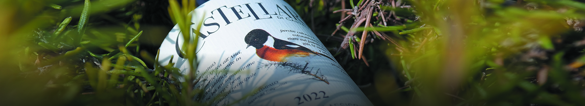 THE 2022 VINTAGE OF CASTELLARE’S CHIANTI CLASSICO IS READY TO BE TASTED